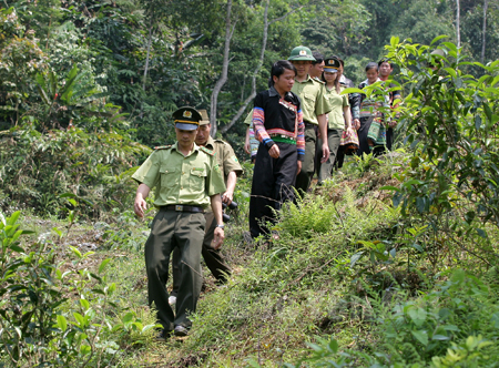 tuần tra bảo vệ rừng.olm